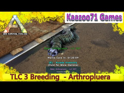 Arthropluera Breeding TLC 3 - Ark Survival Evolved