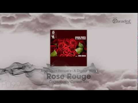 Analog People In a Digital World - Rose Rouge (Cagedbaby Cavern Mix)