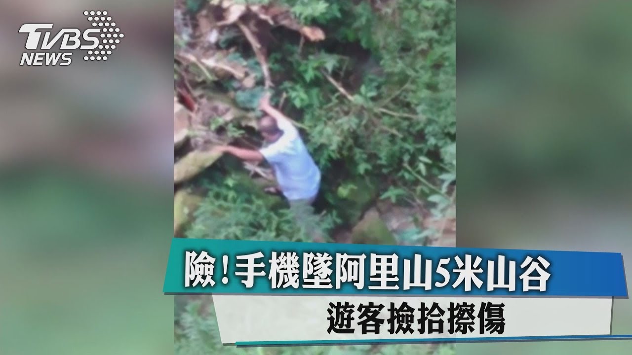 險!手機墜阿里山5米山谷 遊客撿拾擦傷