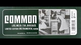 Common, "Cold Blooded" (Instrumental) // 2000 // Hi-Res OG Vinyl Needledrop