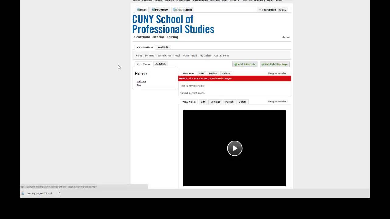 Editing the eportfolio with captions