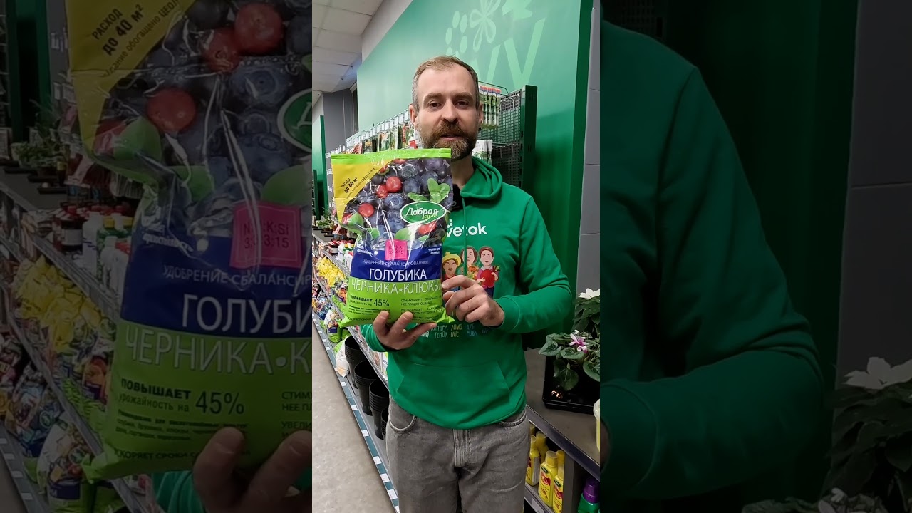 Собираю ведро голубики с куста с такой подкормкой! Самые нужные удобрения для голубики