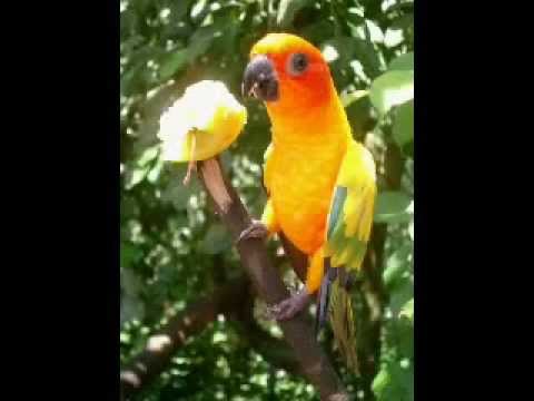 Wir machen Ferien in Algerien