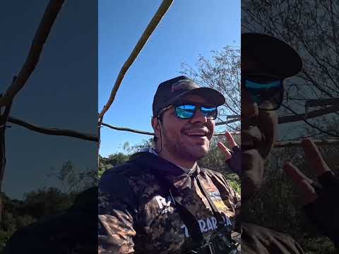 Pesca de Bagres y Bogas en el canal de los puestos, Tucumán #pesca #fishing #rio #argentina #fish