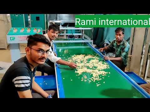 Automatic Garlic Peeler Machine