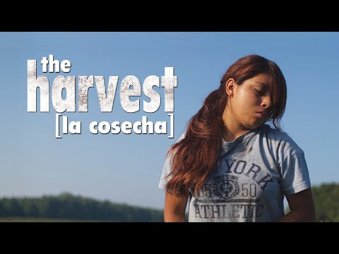 The Harvest | Full Film | BayView Entertainment