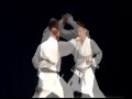 Learn Karate At Home Free Videos