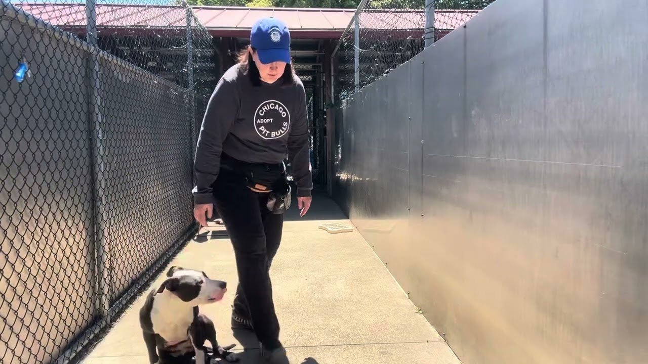 Velour video preview
