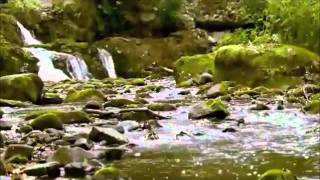 Cet air que je respire - Breathe (This is the air I Breathe) in French