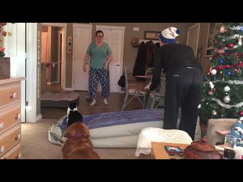 YouTube video about: Will my cat pop my air mattress?