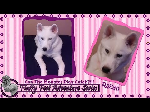 Razah: Can The Monster Play Catch?!!!