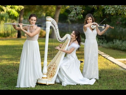 Flute, Violin & Harp Trio