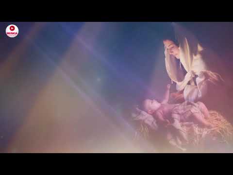 Canciones A La Virgen Maria  - 2 Horas de musica catolica para Reflexionar, Orar y Meditar