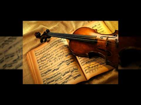 Ludak - Zoki Stamenkoski (live cover)