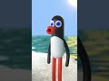 Pingu Noot Noot Shorts