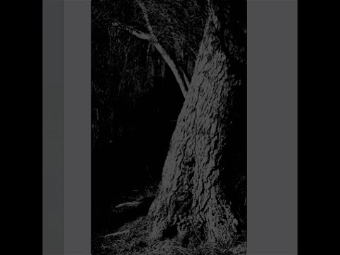 Mandragora/Trollsword/Starcave Nebula - Songs Of Night And Foliage (2021)