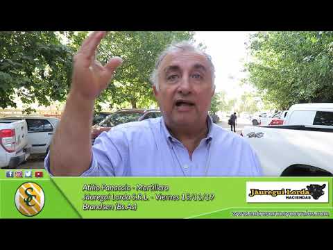 15-11-19 - Atilio Panaccio - Martillero - Jáuregui Lorda S.R.L. - Brandsen