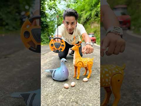 Amr Rc Birds und Rc Deer Ki Unboxing💥