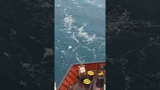 Download lagu Clean by the ocean I pelaut indo kalo nyuci baju be like. mp3 Download lagu Clean by the ocean I pelaut indo kalo nyuci baju be like. mp3