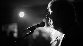 The Bevis Frond  - Superseeder