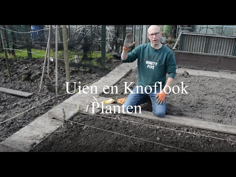 , title : 'Ui en Knoflook Planten in de moestuin'