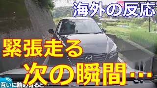 【海外の反応】高知から投稿されたドラレコ映像が世界で話題！相手が握り拳を！トラブル発生かと思われた次の瞬間信じられない光景が！なんと平和な世界だと海外も大絶賛！