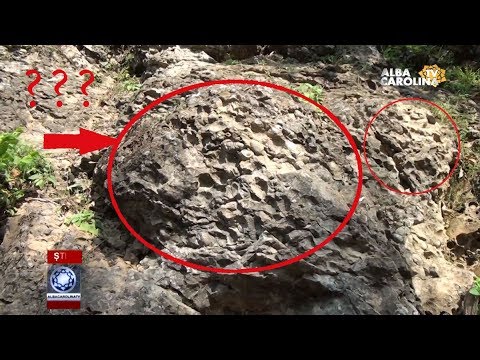 Dealul cu melci... fără melci! Unde au dispărut??