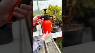 Hand pressure sprayers STARTUL GARDEN (ST6550)
