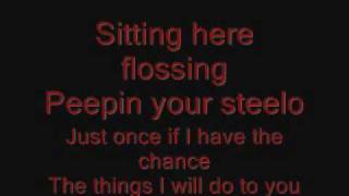 Ginuwine- Pony (Lyrics on screen)