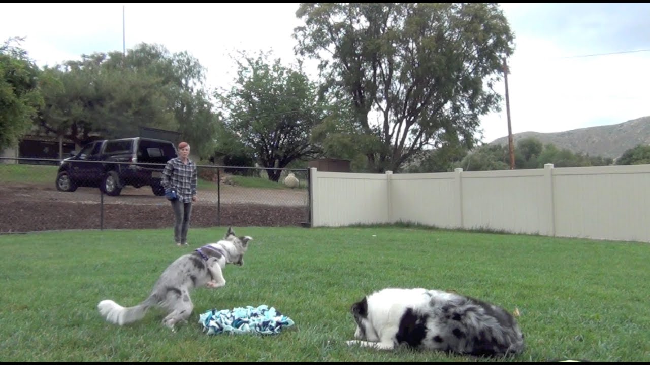 YouTube video preview