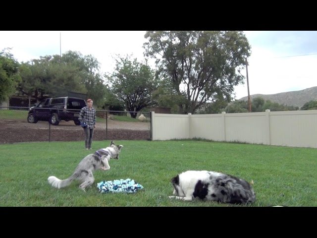 YouTube video preview