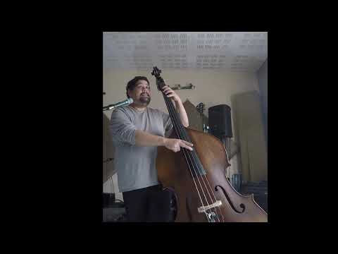 Shaun Johannes   Walking Fundamentals