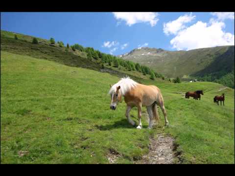 7.6. 2015:  KLAMMBACHALM, Italy