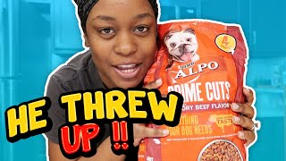 Dog food in Cereal Prank!!  | VLOGGING WITH THE TAYLORS