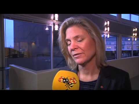 Andersson (S): "Här tycks vi inte få någon stor konflikt