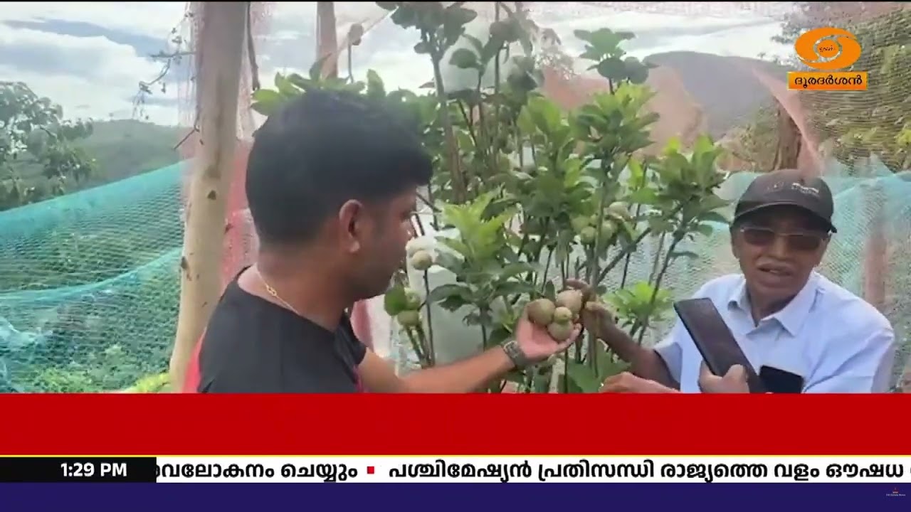 ആപ്പിൾ വാലി! സഞ്ചാരികളെ വരവേൽക്കാൻ ഒരുങ്ങി കാന്തല്?