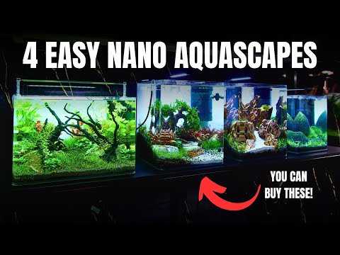 MAKING 4 BEGINNERS AQUASCAPES IN 1 DAY! Low & High Tech