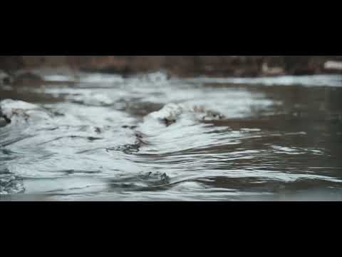 Video thumbnail for (first dam)