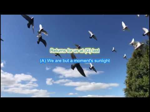 Crd - A Dreamers Dream The Youngbloods LyricsChords