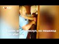 У Мінську побилися ДАІшник і пішохід. ВІДЕО