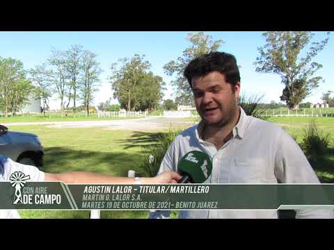 Agustín Lalor - remate de Martín G. Lalor - Martes 19 de octubre de 2021 - Benito Juárez