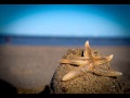 Rico Puestel - Starfish 