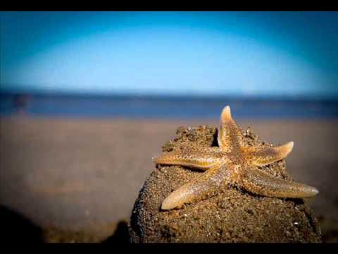 Rico Puestel - Starfish
