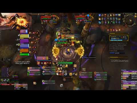+24 Freehold Protection Paladin POV [Forti, Sanguine, Quacking]