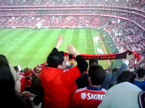 download lagu mp3 mp4 Blog Benfica Ate Morrer, download lagu Blog Benfica Ate Morrer gratis, unduh video klip Blog Benfica Ate Morrer