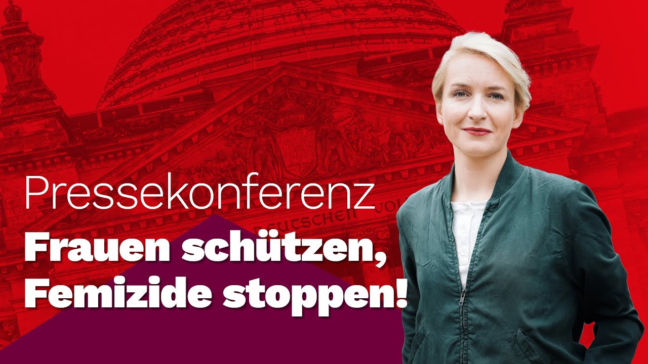 Pressekonferenz: Ines Schwerdtner zum Tag gegen Gewalt an Frauen