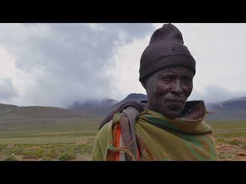 montage video afrique