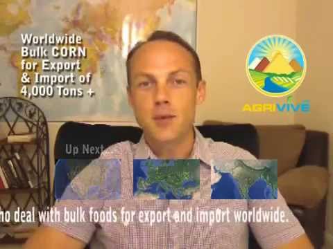 download lagu mp3 mp4 Bulk Cornmeal, download lagu Bulk Cornmeal gratis, unduh video klip Bulk Cornmeal