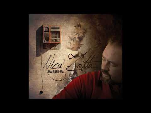 Nicu Zotta - Încă o toamnă
