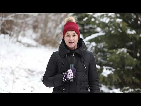 Cum cum e vremea în Tabara TV - Mariana Liurca